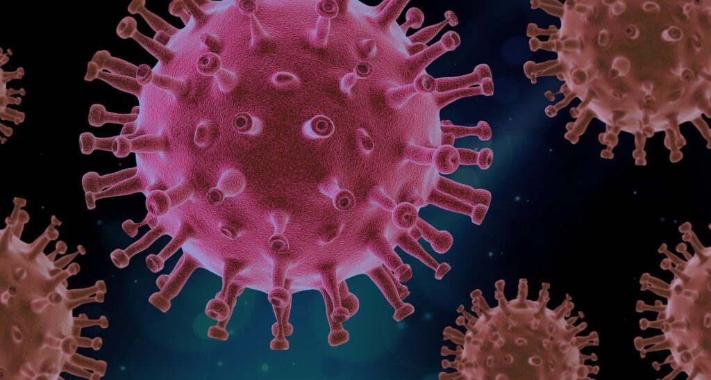 Microscopic image of the Sars-Cov-2 virus 