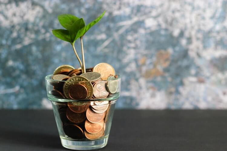 tiny plant in a jar with coins