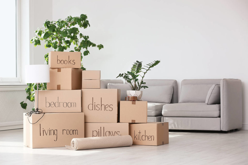 Labeled boxes neatly arranged in a living room