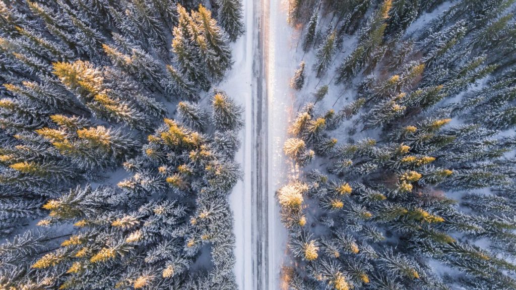 A road with snow and forest on its sides
