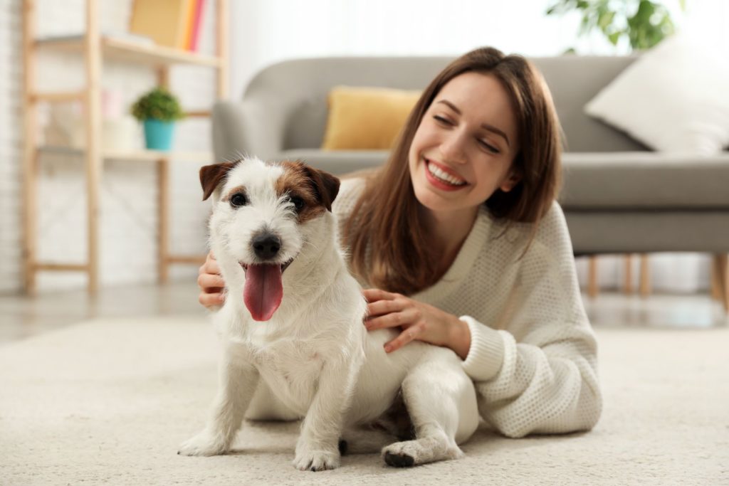 A girl smiling while petting a dog after long-distance moving