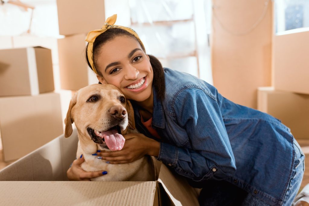 A dog in a box during long-distance moving and packing
