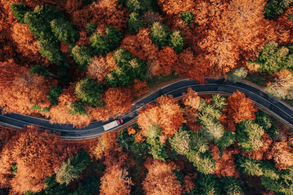 A truck driving through woods