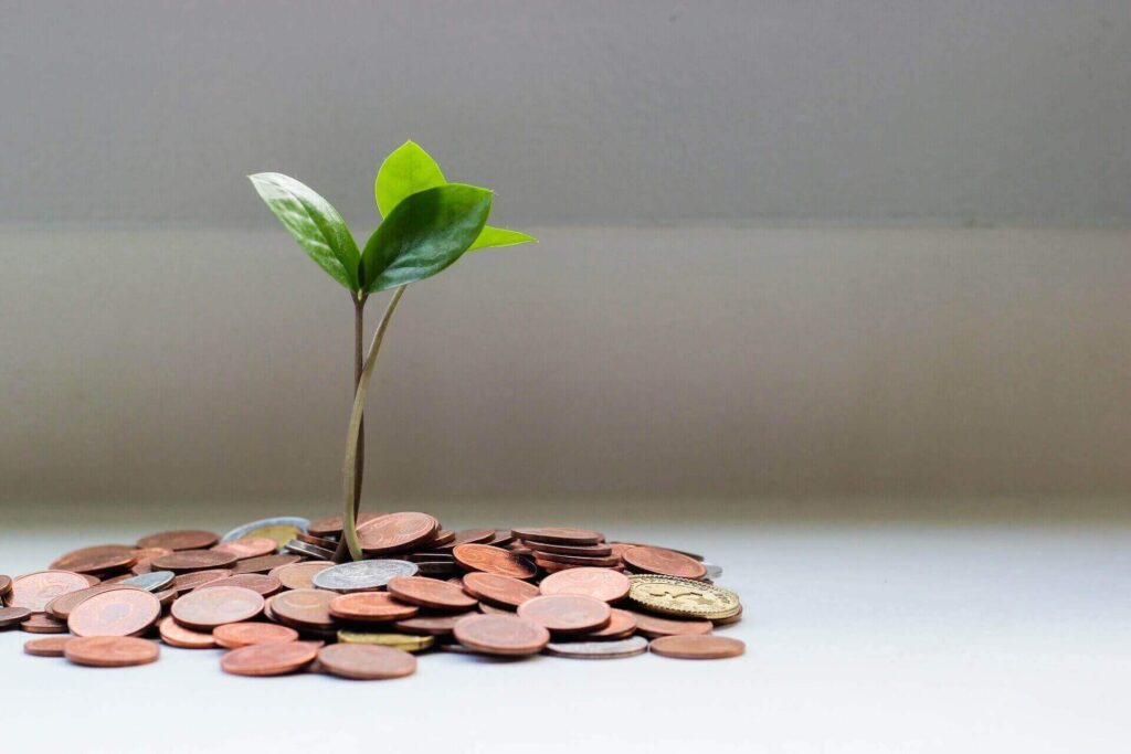 A plant sprouting from coins 