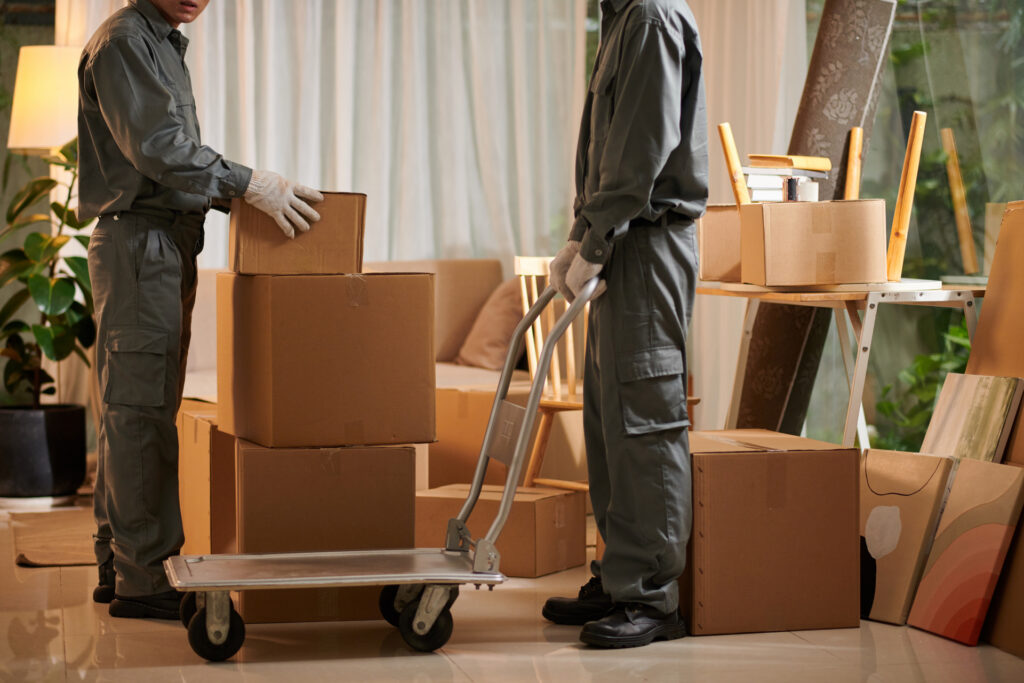 Movers placing labeled boxes in a new living room